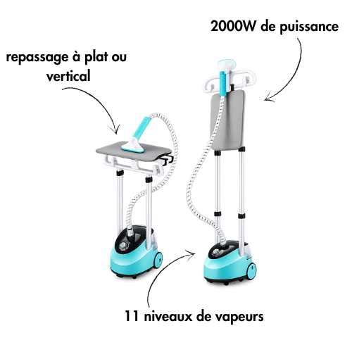 Défroisseur Vapeur Vertical STEAMOWA 2-en-1 2000W Double Barre Réglable